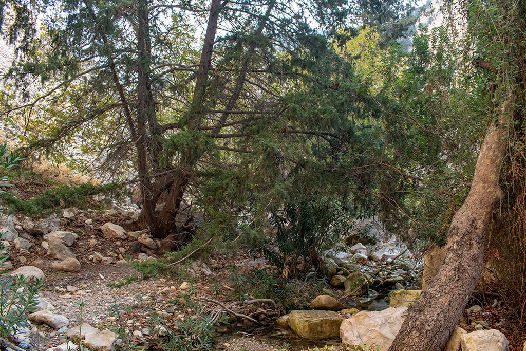 Avakas-gorge 17 avakas-gorge_17
