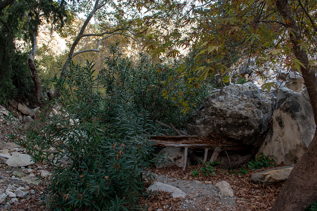Avakas-gorge 18 avakas-gorge_18