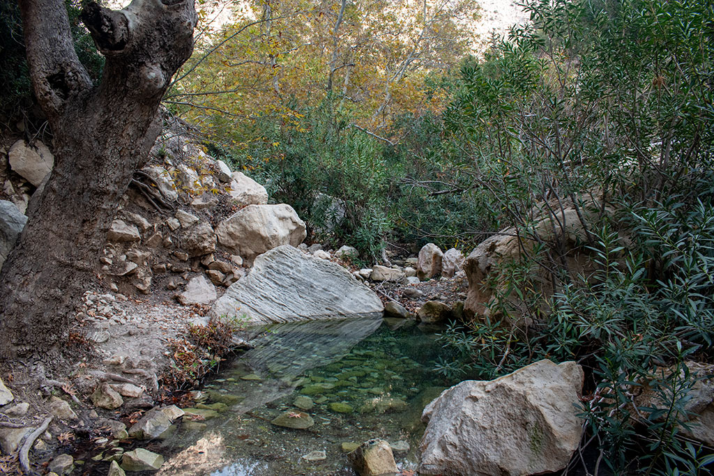 Avakas-gorge 19 avakas-gorge_19