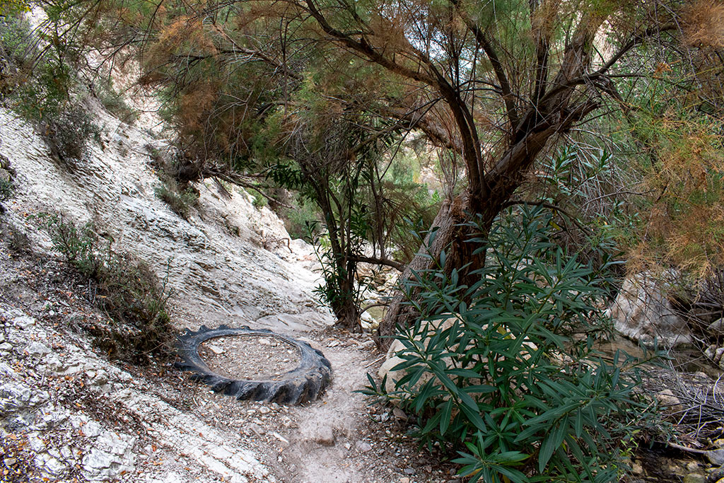 Avakas-gorge 30 avakas-gorge_30
