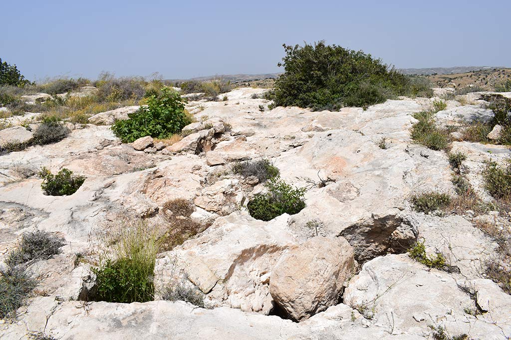 diarizos-valley_02
