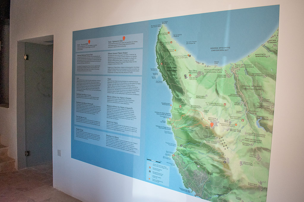 ineia-turtle-museum_08