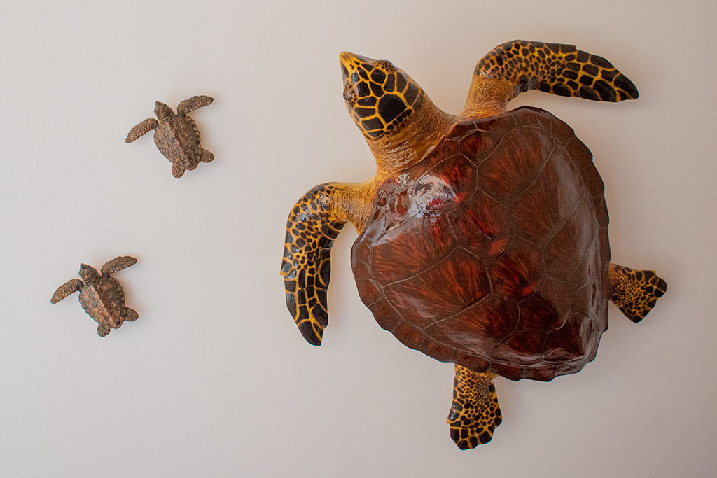 ineia-turtle-museum_10