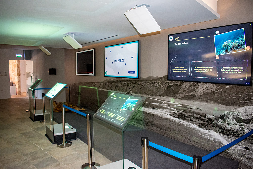 ineia-turtle-museum_16