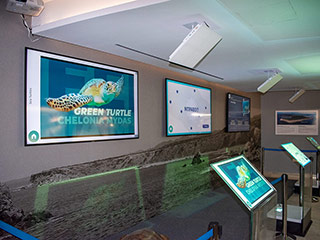 Ineia Turtle Museum