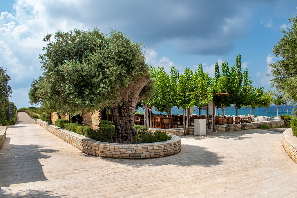 Kafizis-beach 05 kafizis-beach_05