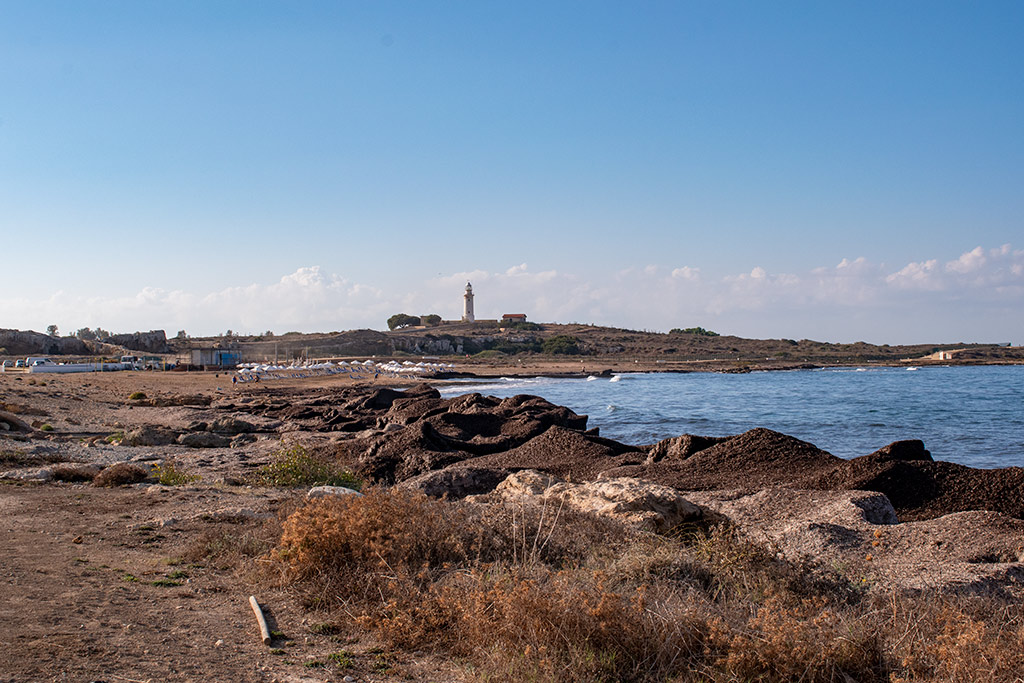 lighthous-to-venus-beach_08