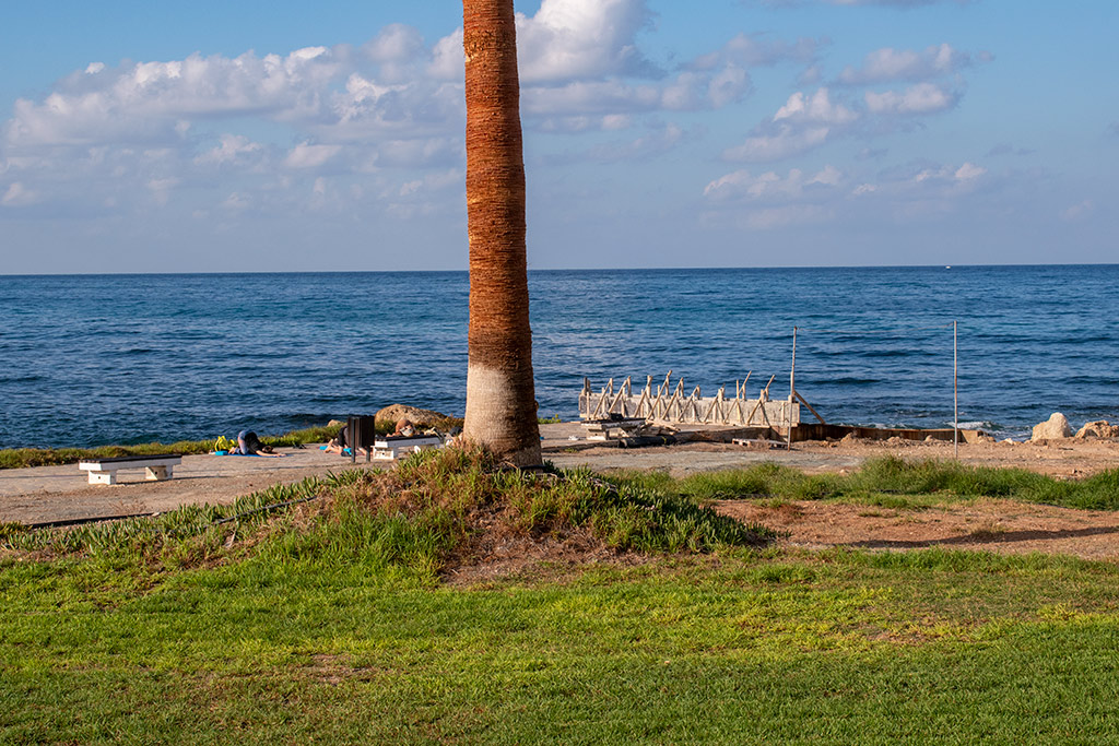 lighthous-to-venus-beach_16