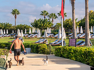 The Walk From Lighthouse To Venus Beach