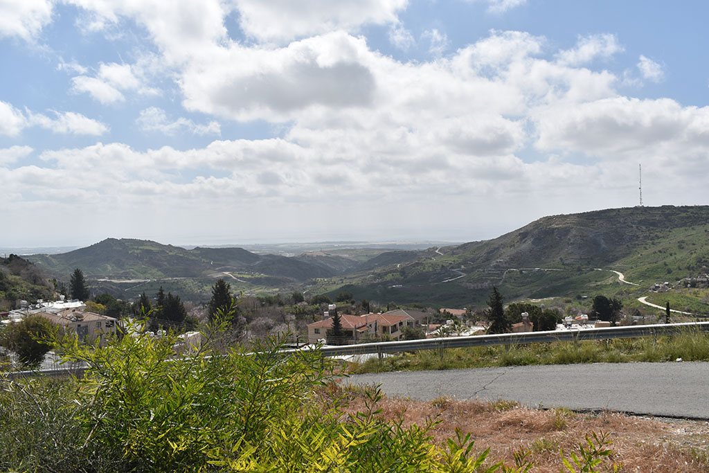 paphos-blossom_01