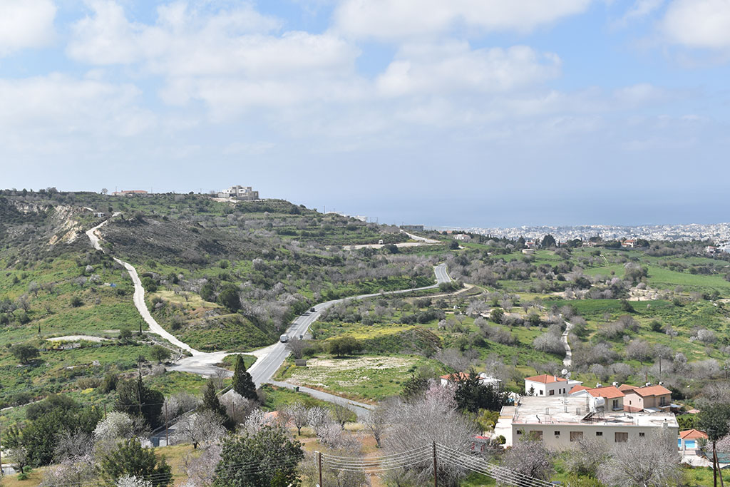 paphos-blossom_03