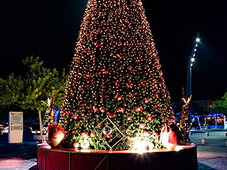 Paphos Christmas Lights 2023