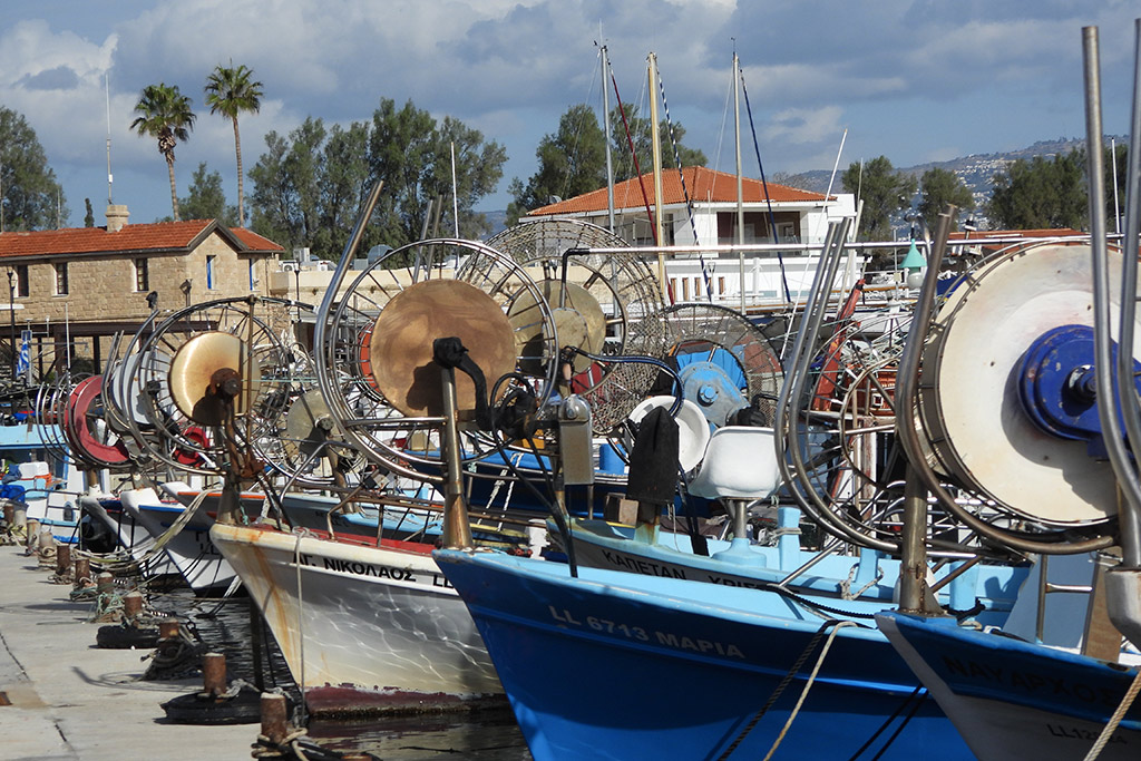 Paphos-harbour-in-december 21 paphos-harbour-in-december_21