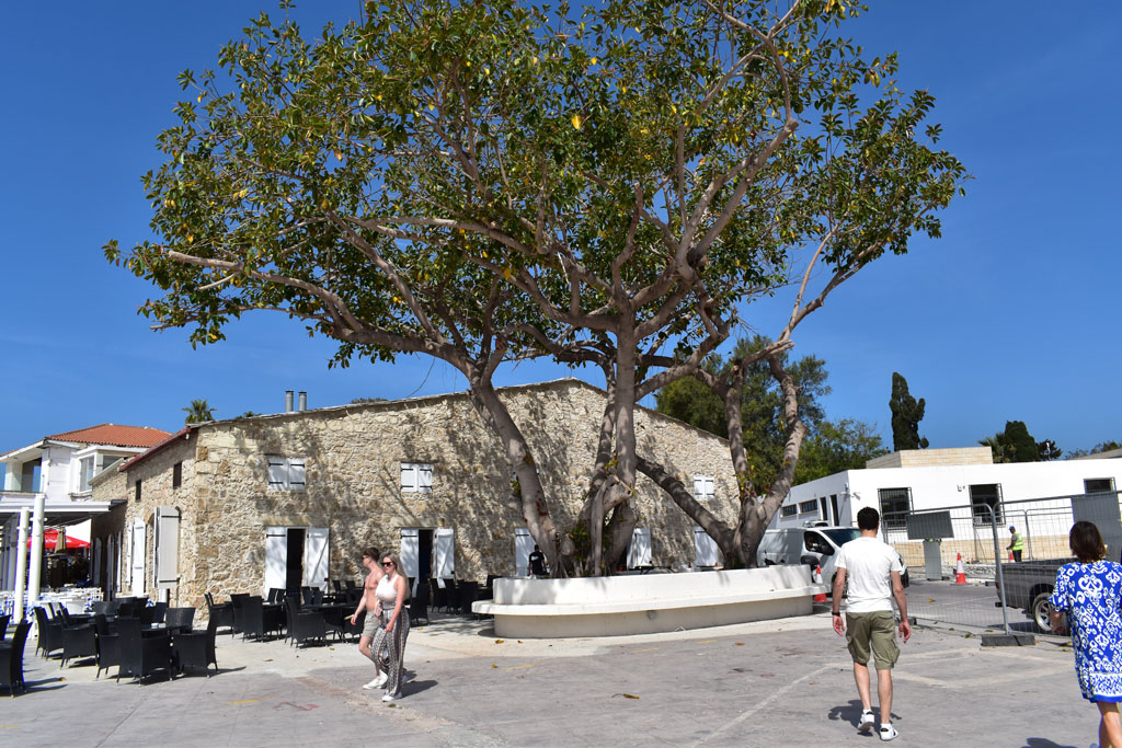 Paphos-seafront-update-0427 21 paphos-seafront-update-0427_21
