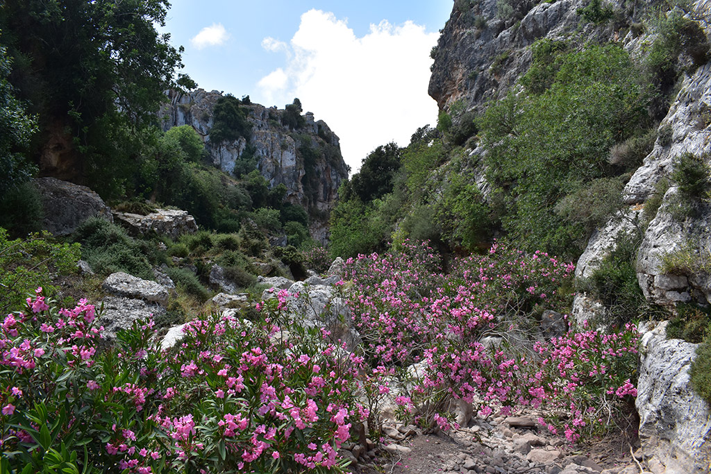petratis-gorge-part-1_05