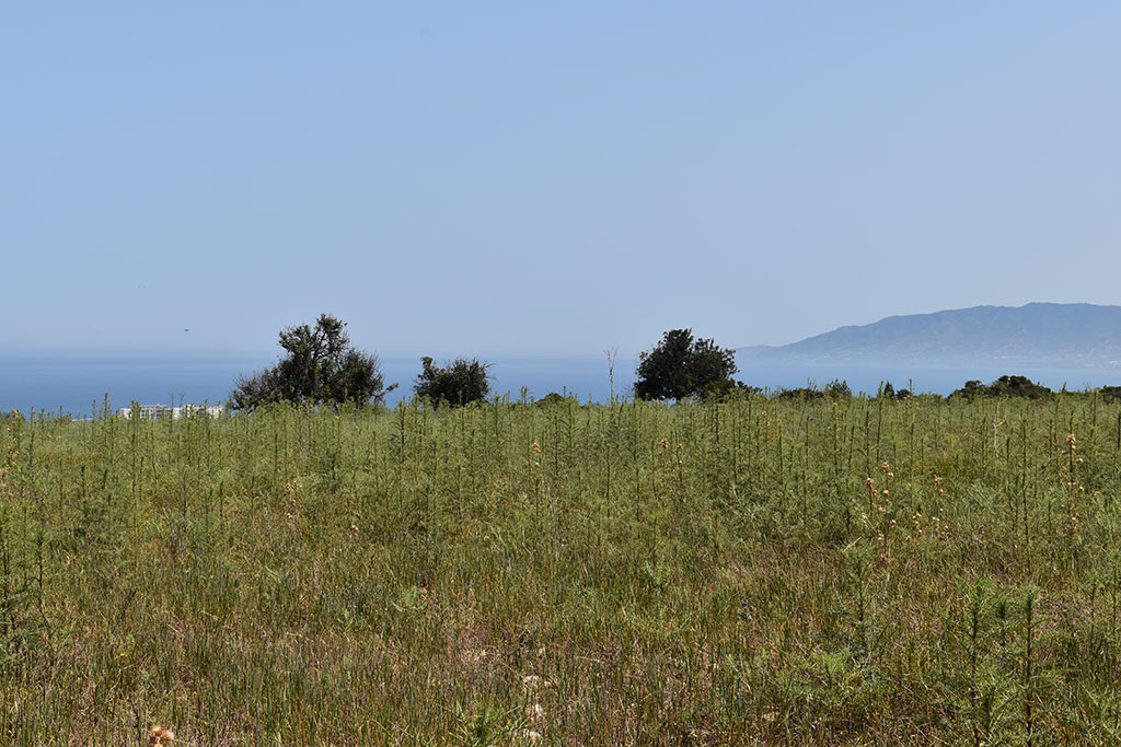 petratis-gorge-part-1_14