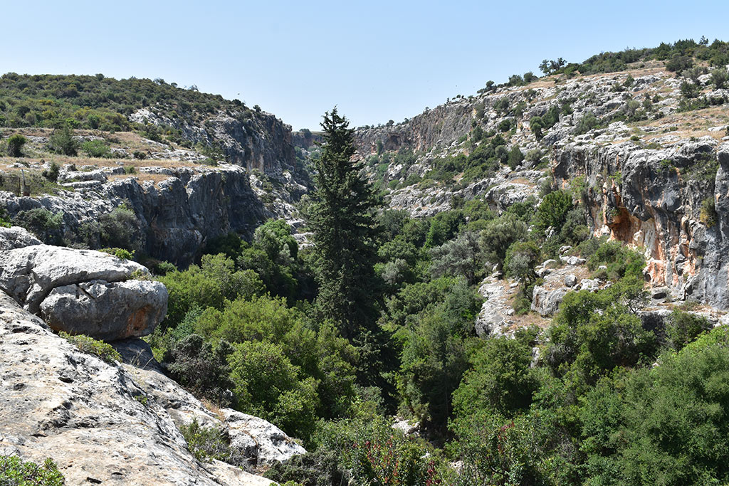 Petratis-gorge-part-1 18 petratis-gorge-part-1_18