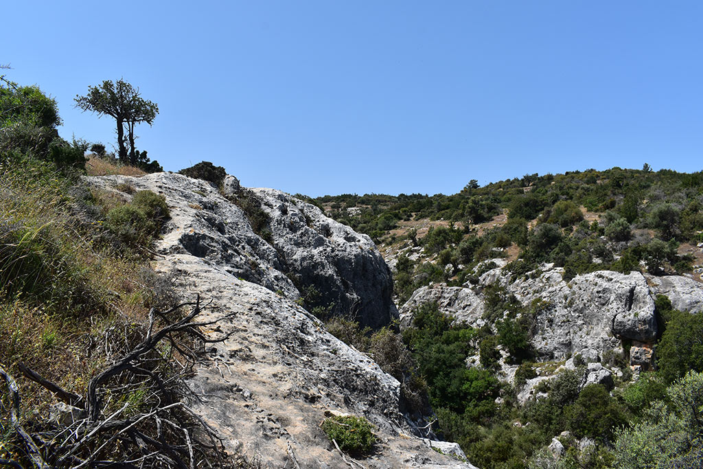 Petratis-gorge-part-1 20 petratis-gorge-part-1_20
