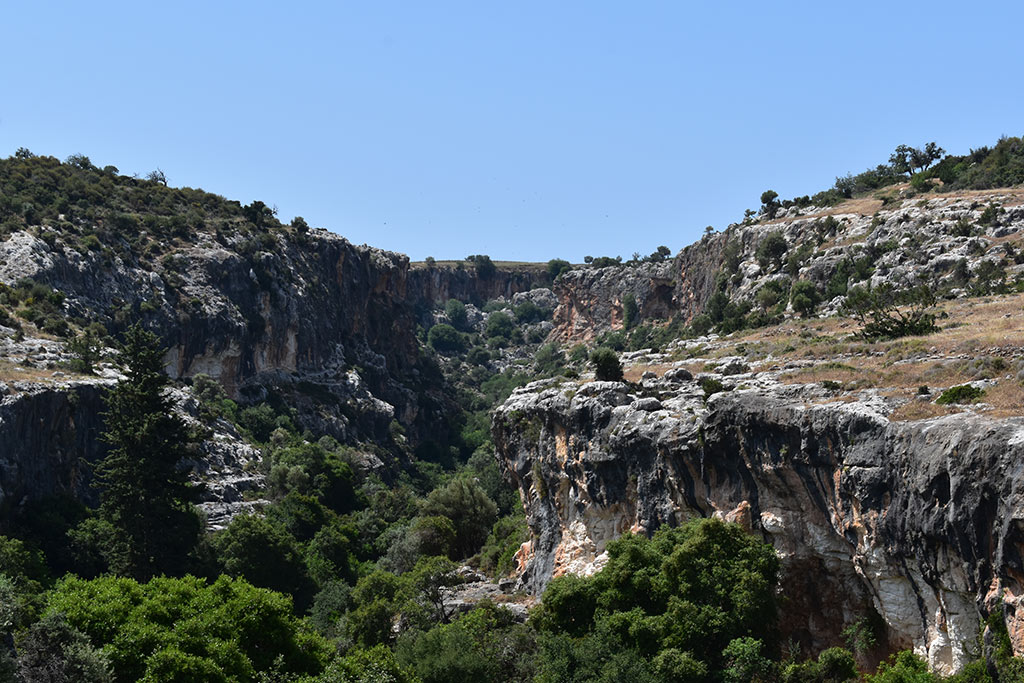 petratis-gorge-part-1_22