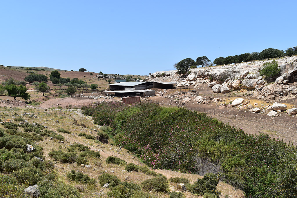 Petratis-gorge-part-1 27 petratis-gorge-part-1_27
