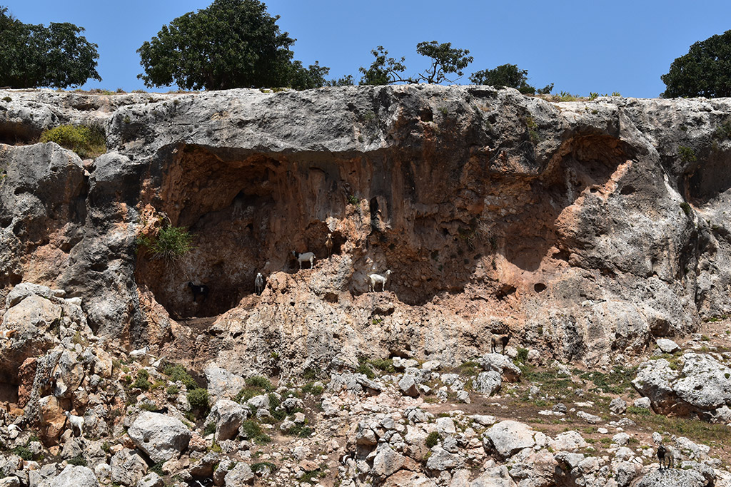 Petratis-gorge-part-1 28 petratis-gorge-part-1_28