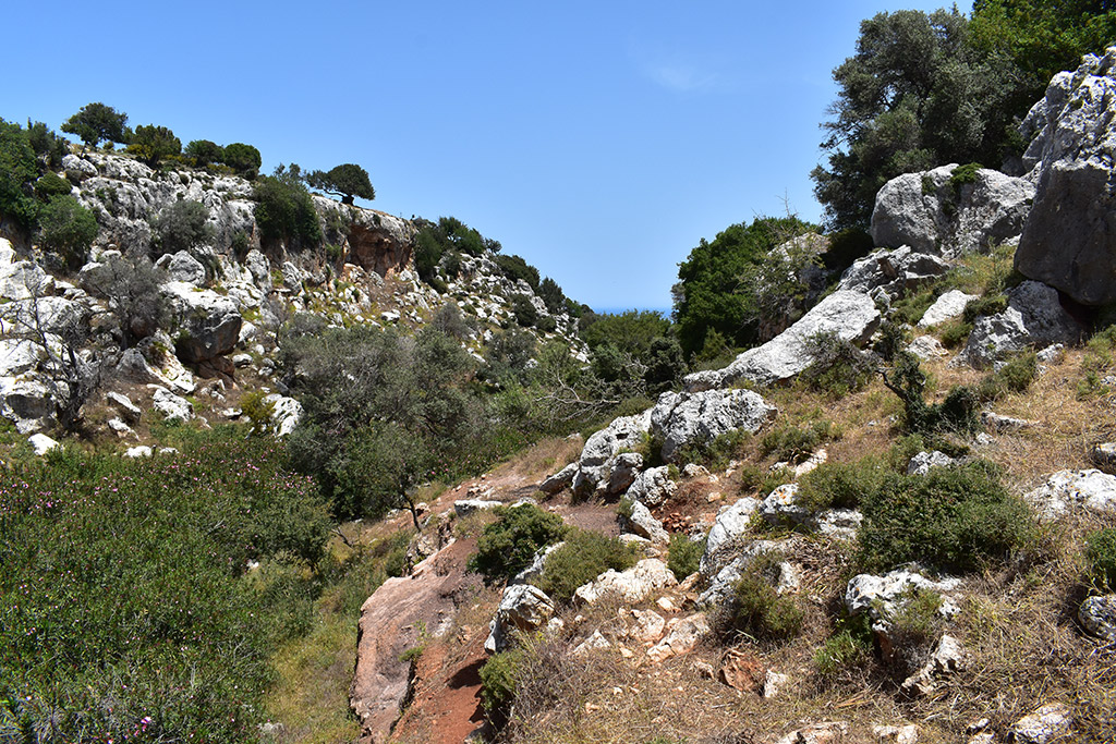 Petratis-gorge-part-1 29 petratis-gorge-part-1_29