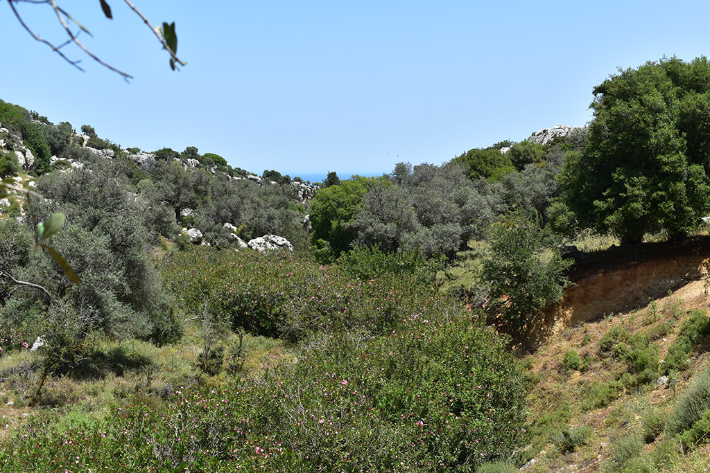 Petratis-gorge-part-1 31 petratis-gorge-part-1_31
