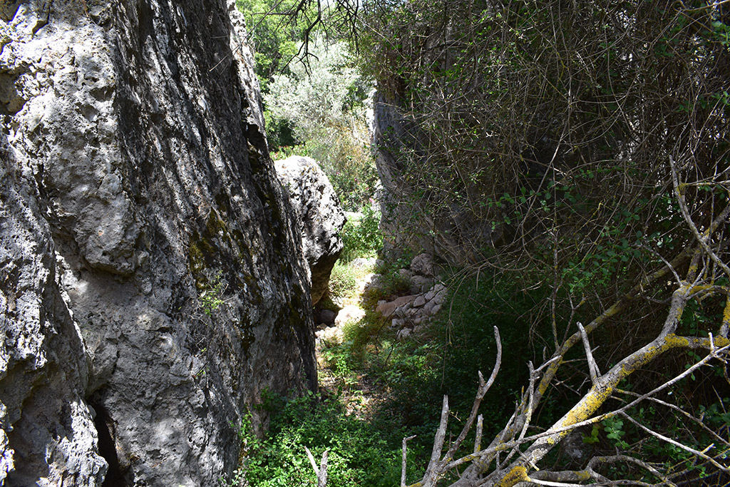 Petratis-gorge-part-1 32 petratis-gorge-part-1_32