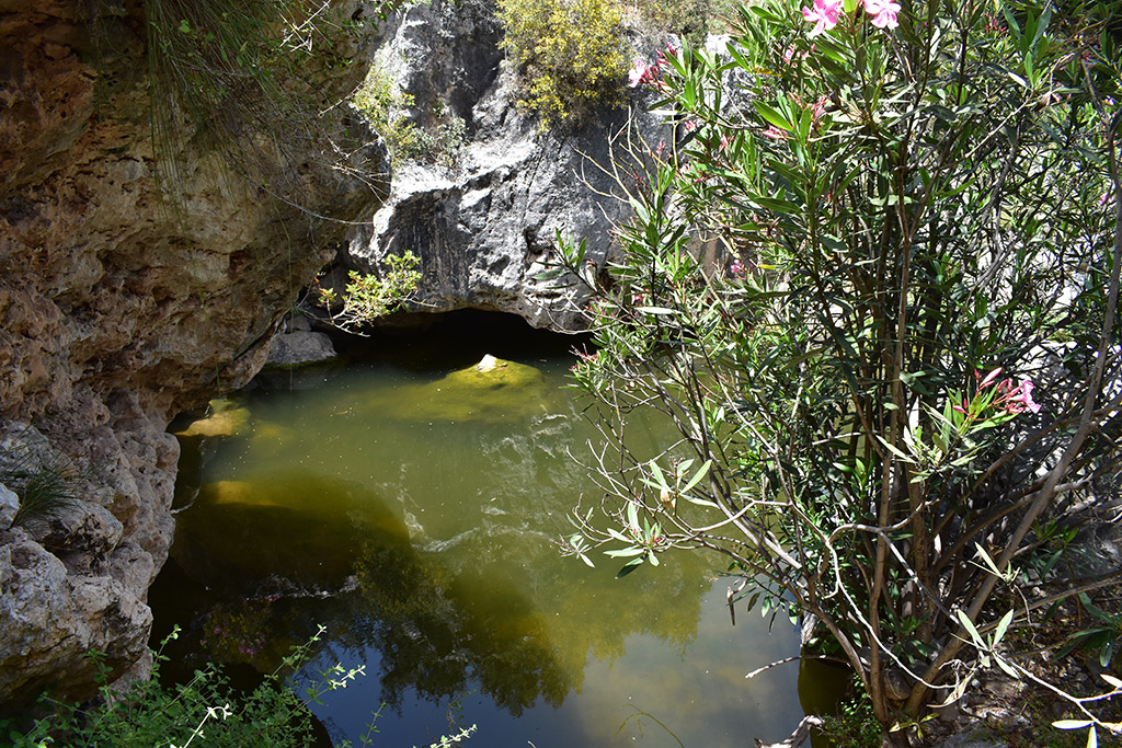 Petratis-gorge-part-1 33 petratis-gorge-part-1_33