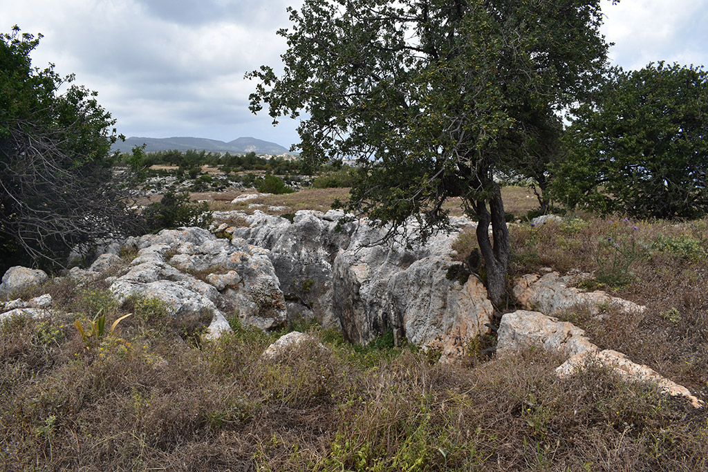 petratis-gorge-part-2_02