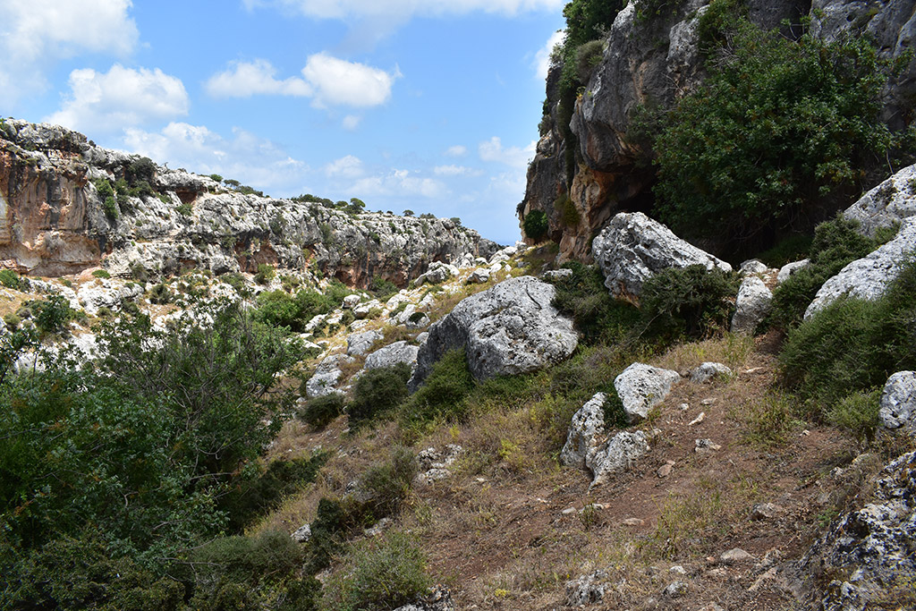 Petratis-gorge-part-2 11 petratis-gorge-part-2_11