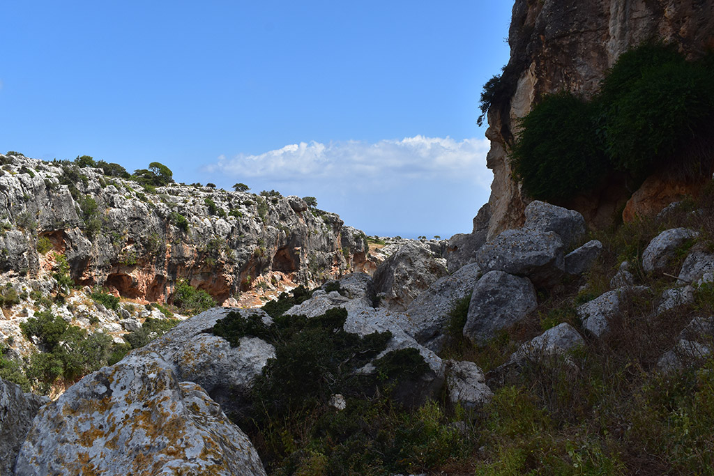 Petratis-gorge-part-2 15 petratis-gorge-part-2_15