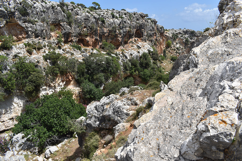 Petratis-gorge-part-2 16 petratis-gorge-part-2_16