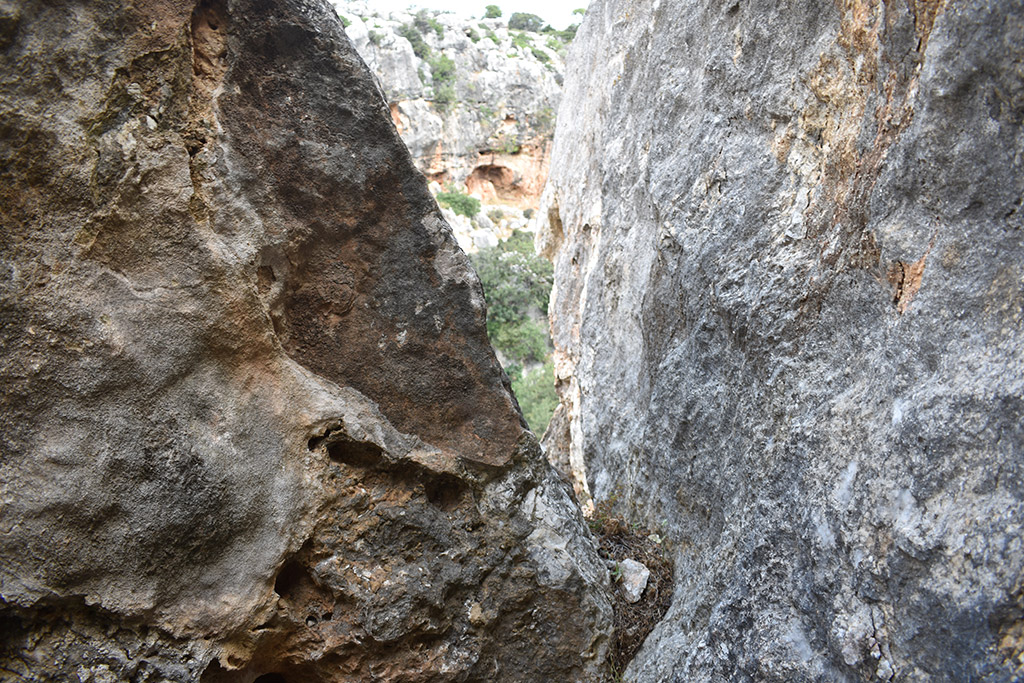 Petratis-gorge-part-2 17 petratis-gorge-part-2_17