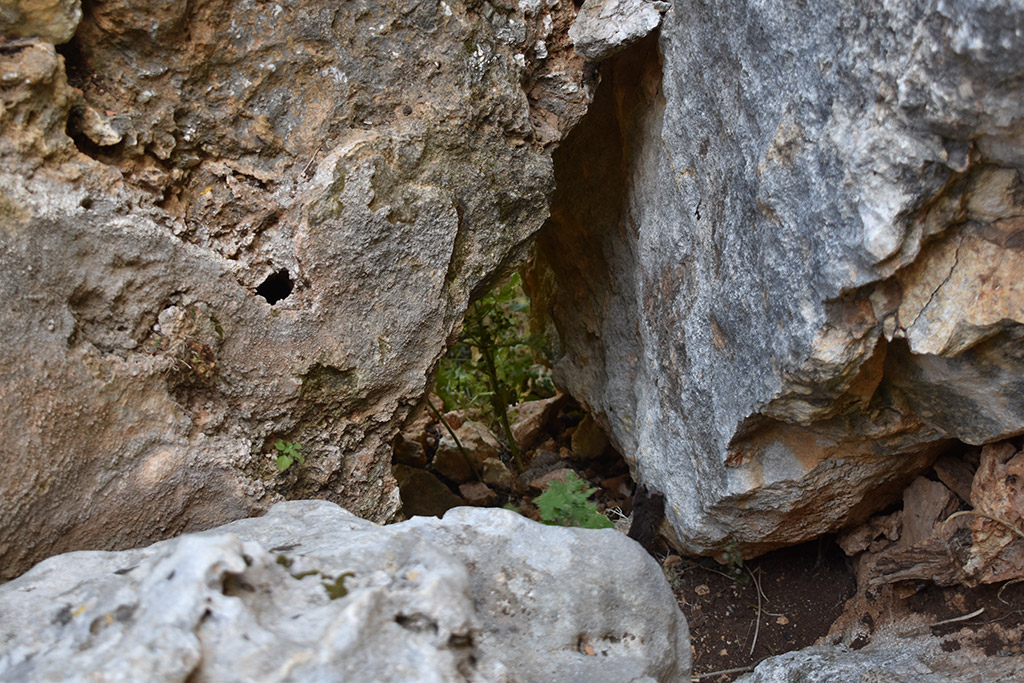 Petratis-gorge-part-2 18 petratis-gorge-part-2_18