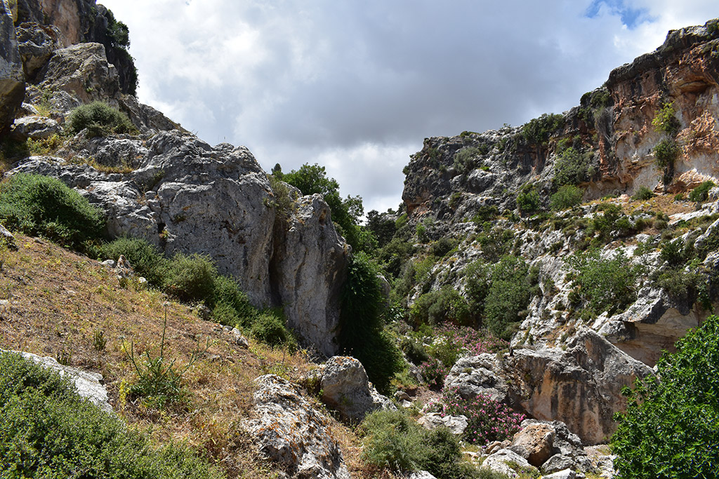 Petratis-gorge-part-2 22 petratis-gorge-part-2_22