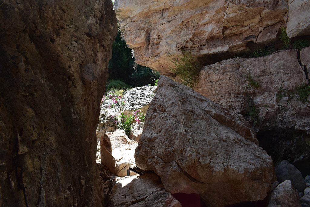 Petratis-gorge-part-2 23 petratis-gorge-part-2_23
