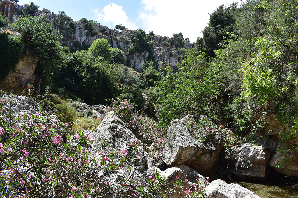 Petratis-gorge-part-2 25 petratis-gorge-part-2_25