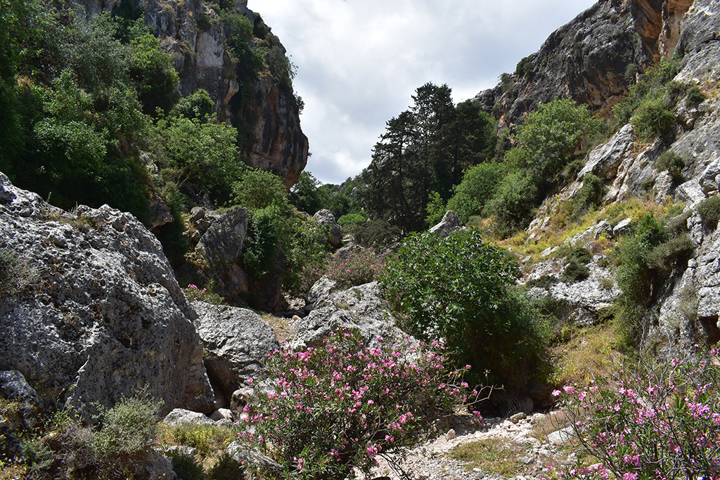 Petratis-gorge-part-2 26 petratis-gorge-part-2_26