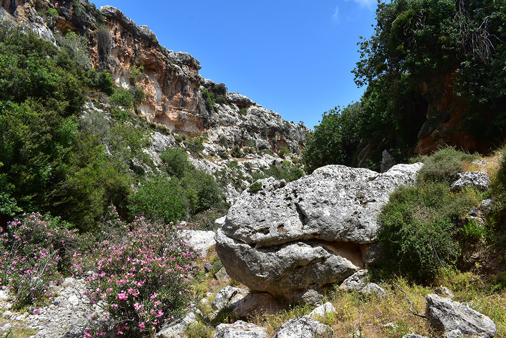 Petratis-gorge-part-2 28 petratis-gorge-part-2_28