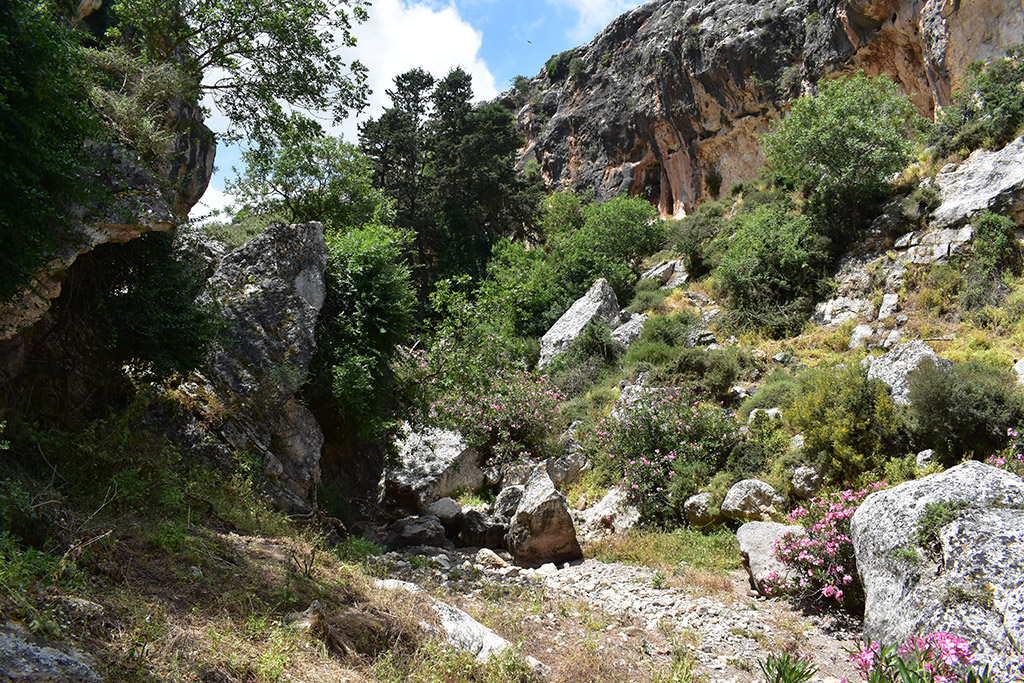 Petratis-gorge-part-2 29 petratis-gorge-part-2_29