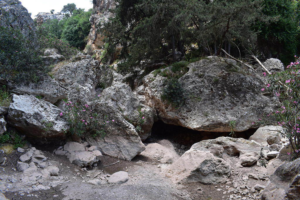 Petratis-gorge-part-2 32 petratis-gorge-part-2_32