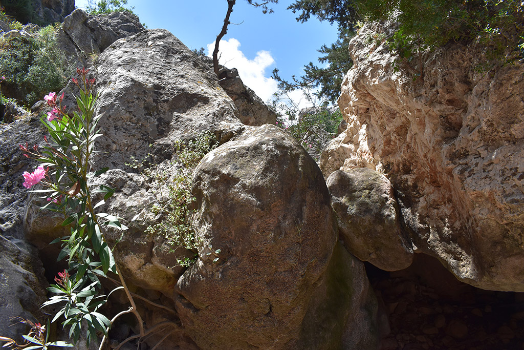 Petratis-gorge-part-2 33 petratis-gorge-part-2_33