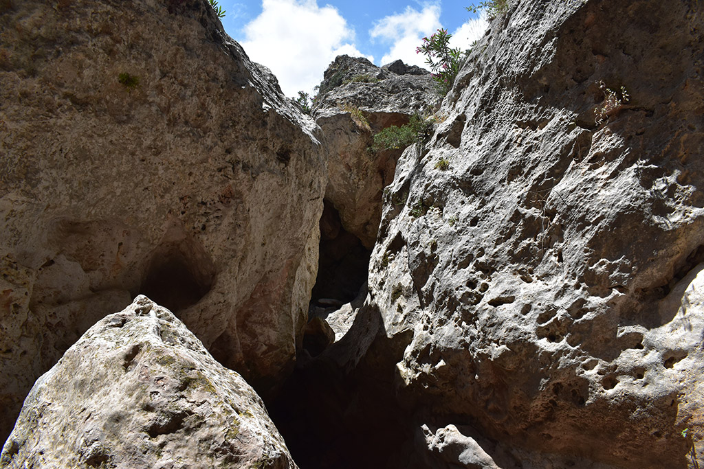 Petratis-gorge-part-2 35 petratis-gorge-part-2_35