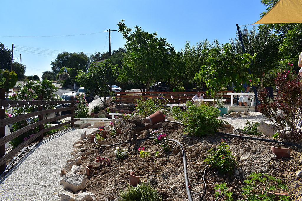 polemi-community-project_09