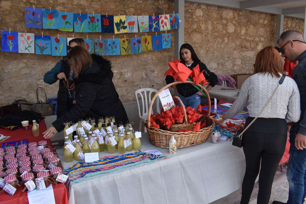 polemi-tulip-festival-2023_15
