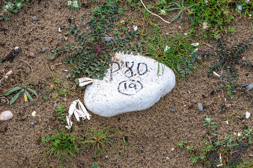 polis-seaside-stroll_17