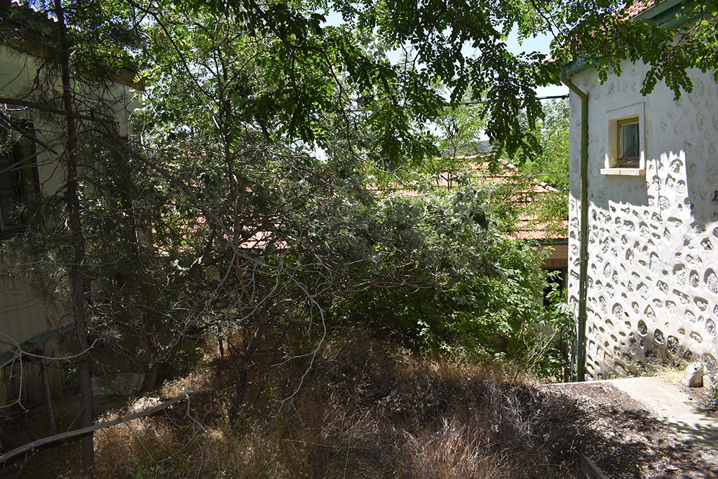 return-to-amiantos-hospital_19