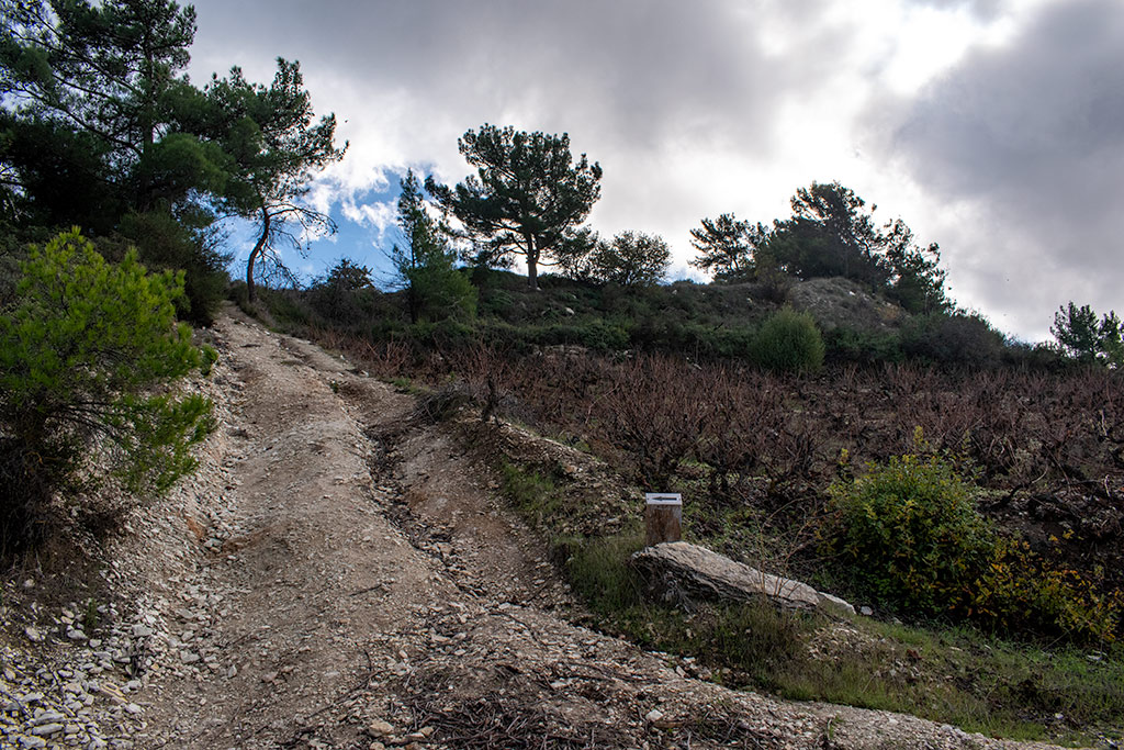 Vouni-path 14 vouni-path_14
