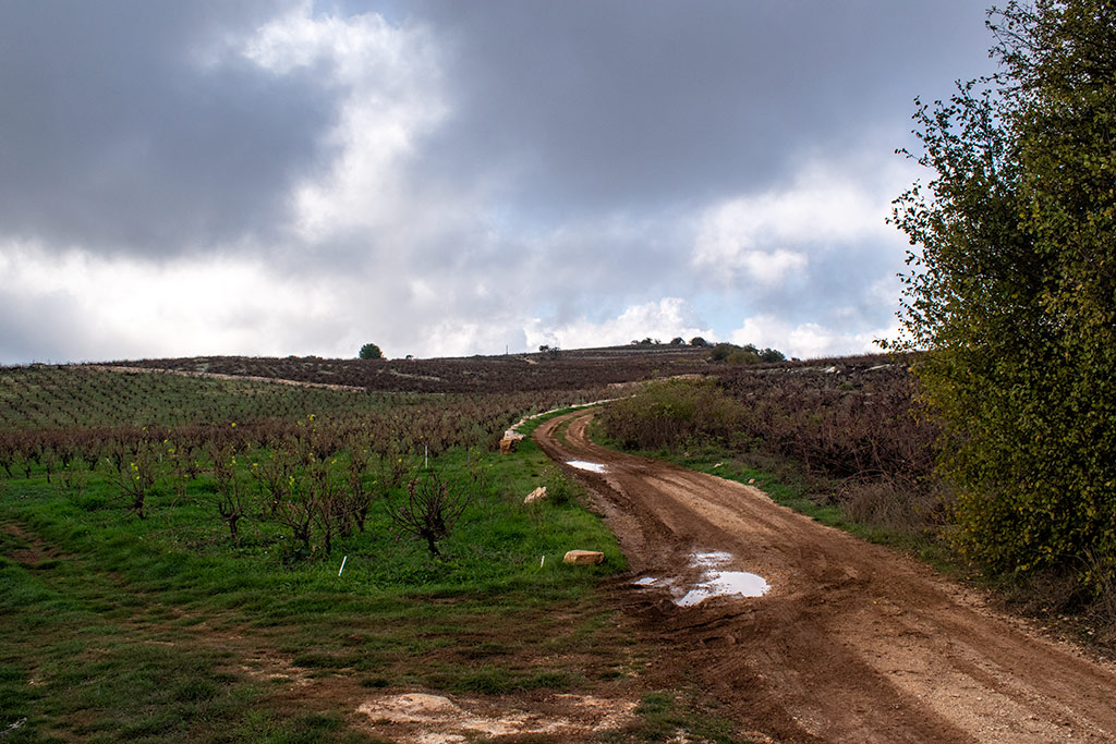 Vouni-path 23 vouni-path_23